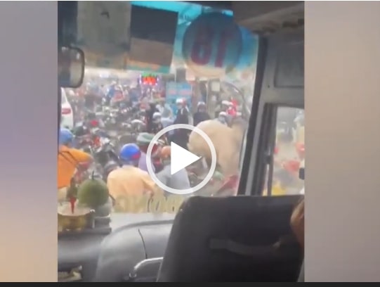 Bò điên ở Đồng Nai húc hàng loạt xe máy