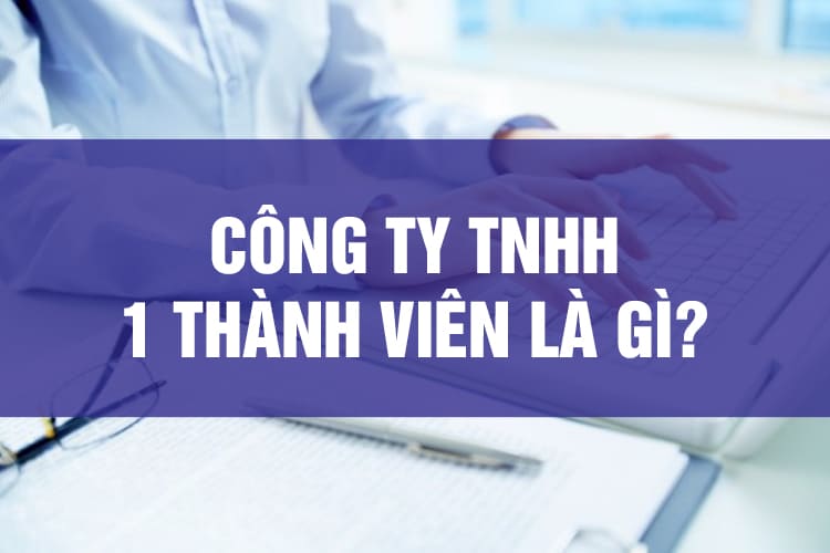 Công ty TNHH một thành viên là gì? Có đặc điểm, quyền nghĩa vụ gì?