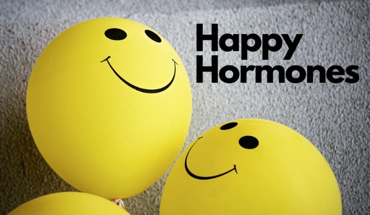 Hormones hạnh phúc là gì? Làm thế nào để làm tăng hormons hạnh phúc?