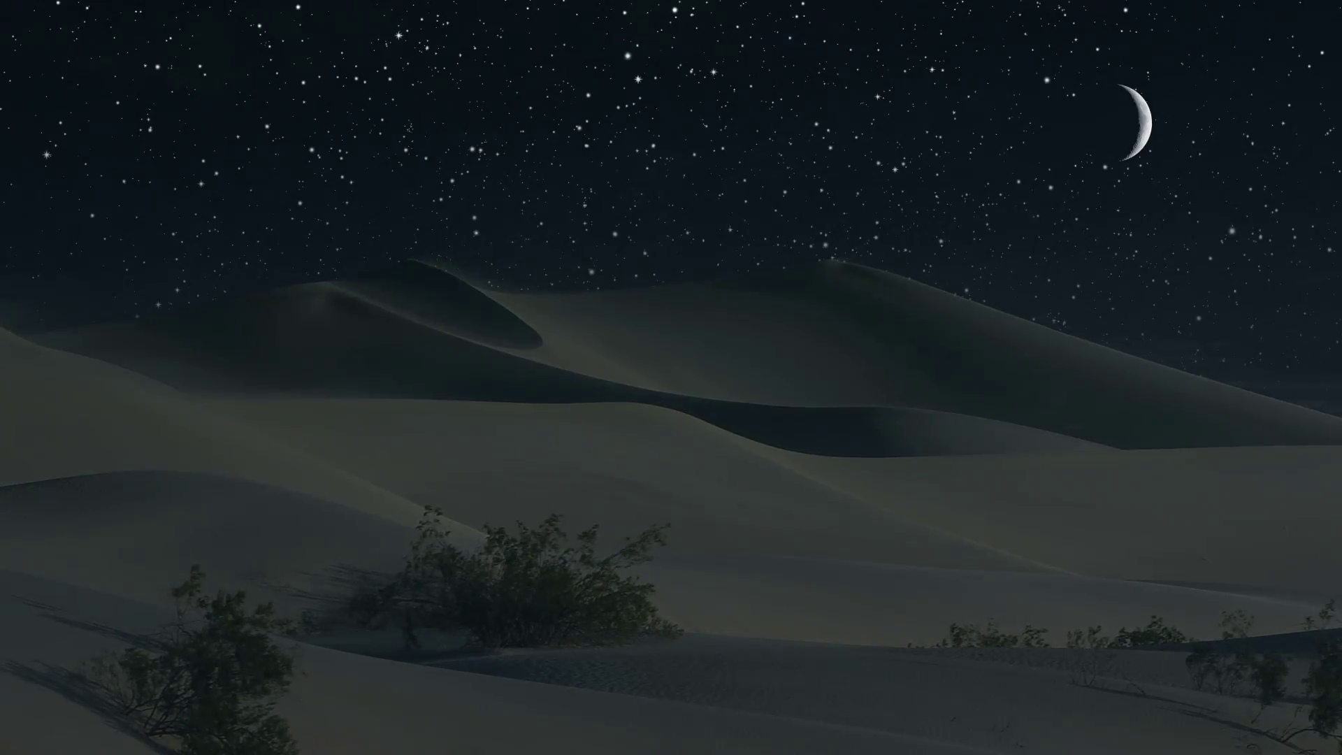 Tại sao sa mạc trở nên lạnh lẽo vào ban đêm?