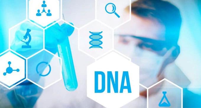 Xét nghiệm ADN là gì? Xét nghiệm ADN để làm gì?